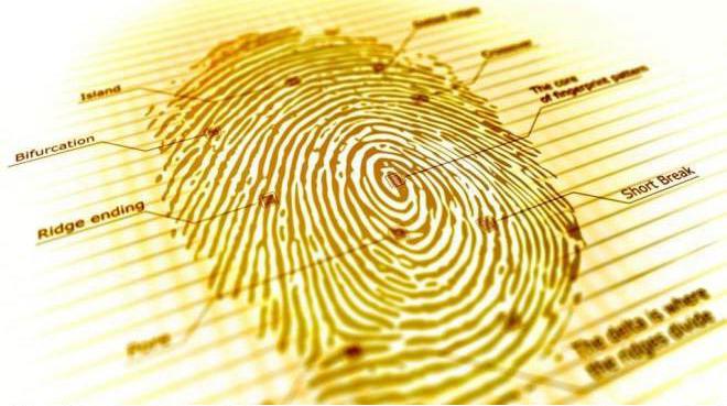 人工智能指紋感應(yīng)模塊 人工智能指紋感應(yīng)模塊