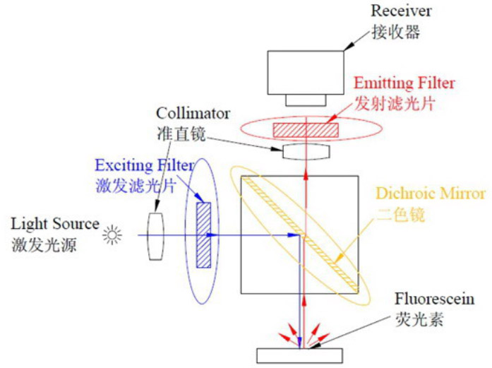 PCR濾光片工作原理 PCR濾光片工作原理